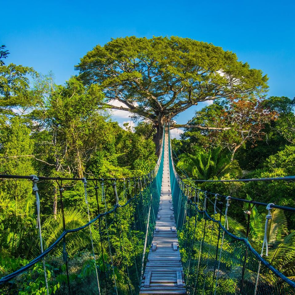 puertomaldonadocaraltours